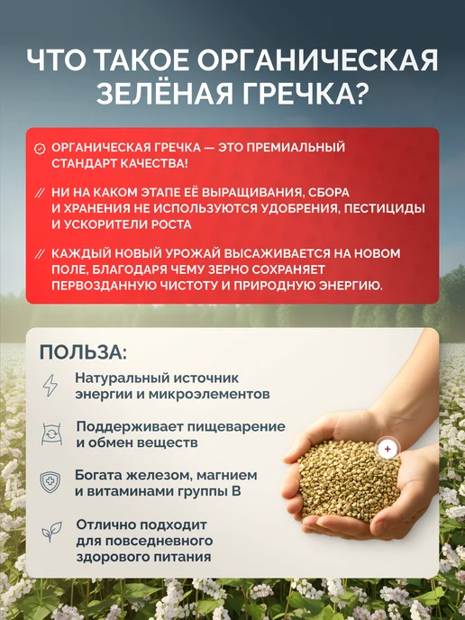 Oflidi Гречка зеленая органическая 500 г, 500 г, фото 2