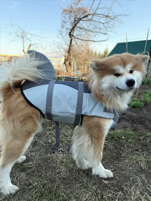 SuperPets Спасательный жилет для собаки для плавания, серый, фото 6