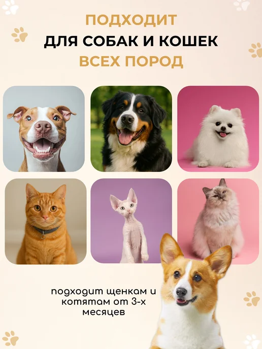 JERMINAL - PETS CARE - Гипоаллергенный шампунь для собак, 3 литра, вариант, фото 6