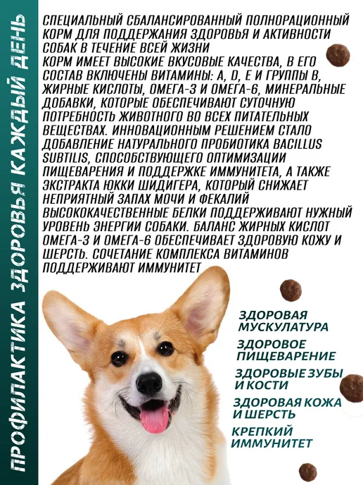 Сухой корм Secret for Pets для собак, говядина, 15 кг, фото 2