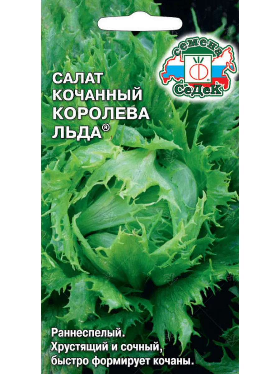 Семена Салат айсберг Королева Льда, 0.5г