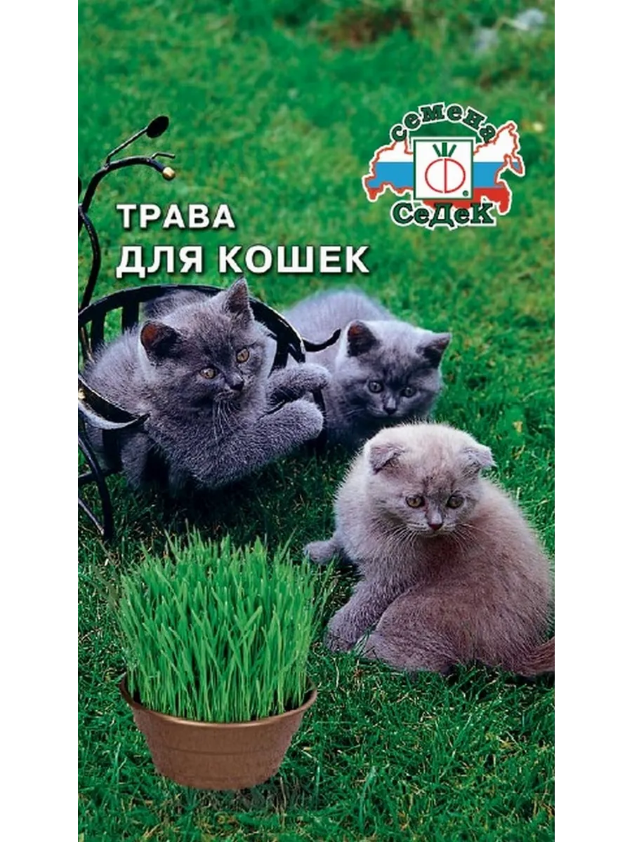 Семена Трава для кошек, 10г
