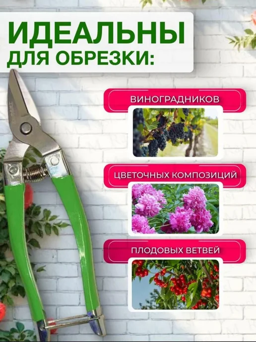 Ножницы для сада универсальные, зеленый, фото 2