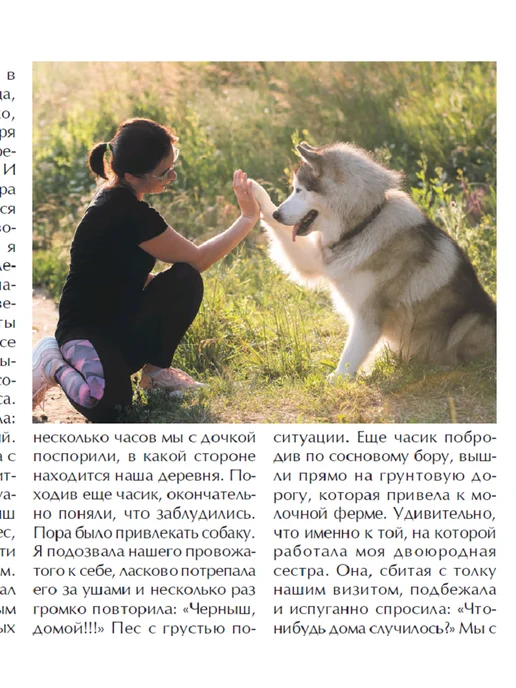 Такие дела. Толока Житейские истории, интриги, удивительные случаи №6 25, вариант, фото 5