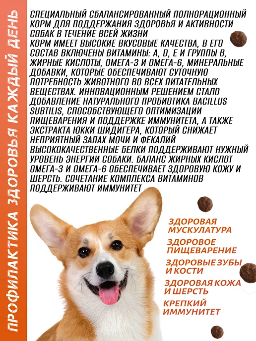 Сухой корм Secret for Pets Premium для собак, лосось, 2 кг, фото 2