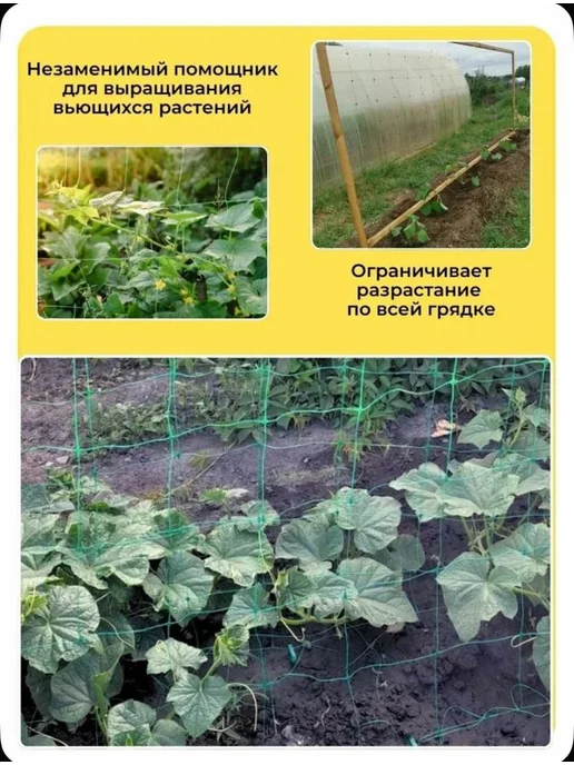 Сетка садовая шпалерная для огурцов 2х5- 2 ШТ, 2x5, 2 шт, фото 4