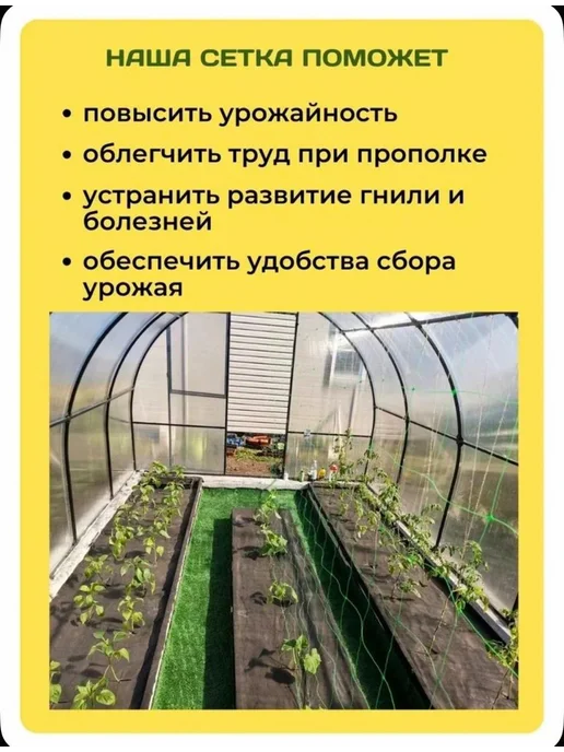 Сетка садовая шпалерная для огурцов 2х5- 2 ШТ, 2x5, 2 шт, фото 7