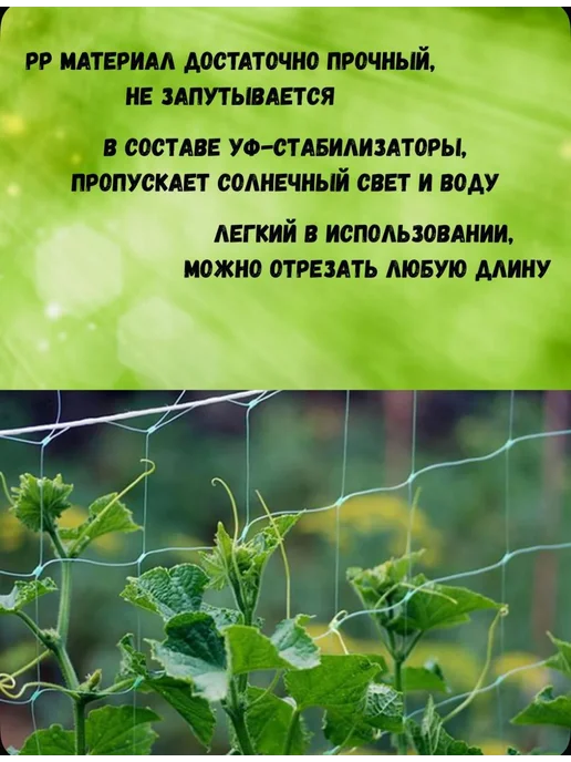Сетка садовая шпалерная для огурцов 2х5- 2 ШТ, 2x5, 2 шт, фото 8