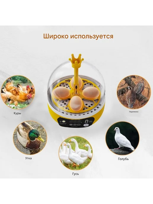 Инкубатор для 4 яиц, желтый, фото 6