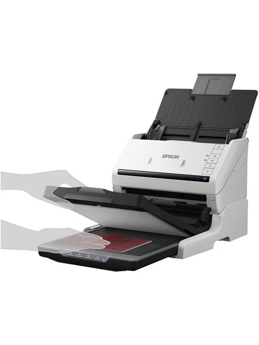 Epson Сканер B11B261401 цветной, А4, белый, фото 6