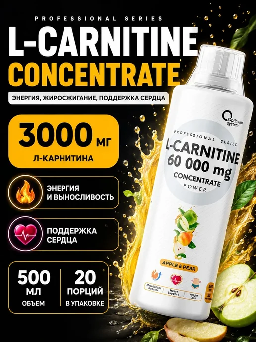 Power system l carnitine 3000