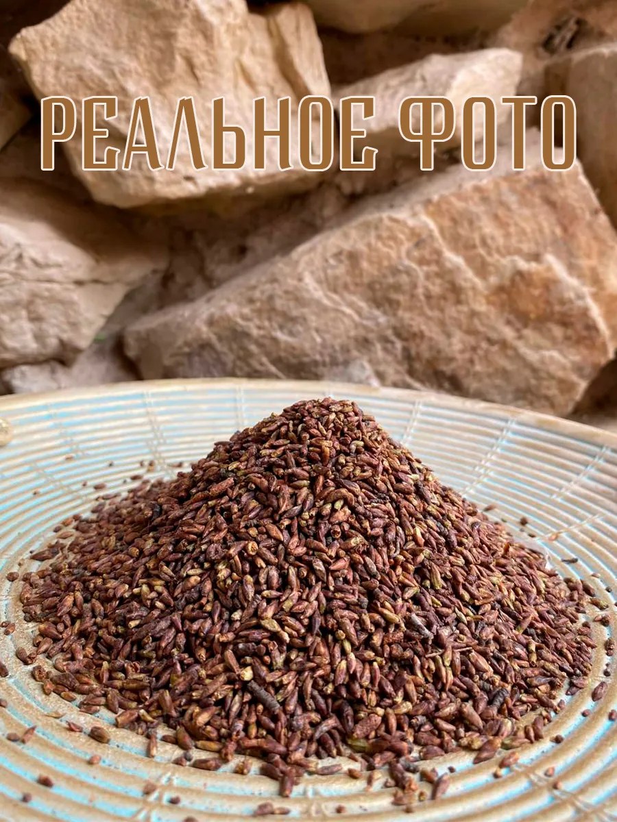 Березовые почки