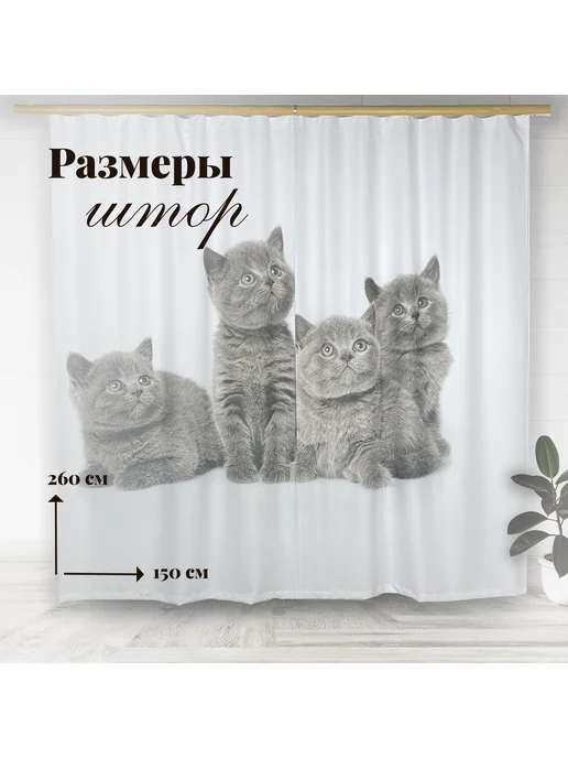 МарТекс Фотошторы в детскую в гостиную в спальню Котята 300*260+ -5%, 300x260, фото 2