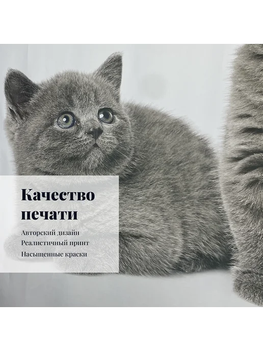 МарТекс Фотошторы в детскую в гостиную в спальню Котята 300*260+ -5%, 300x260, фото 3