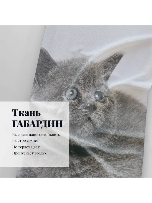 МарТекс Фотошторы в детскую в гостиную в спальню Котята 300*260+ -5%, 300x260, фото 4