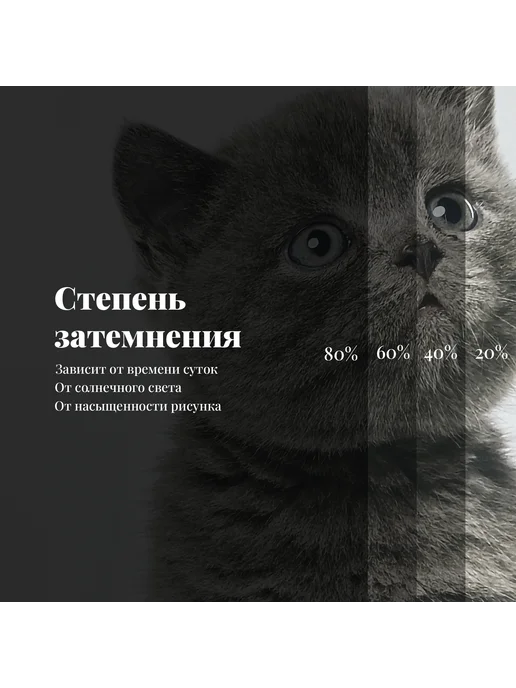 МарТекс Фотошторы в детскую в гостиную в спальню Котята 300*260+ -5%, 300x260, фото 5