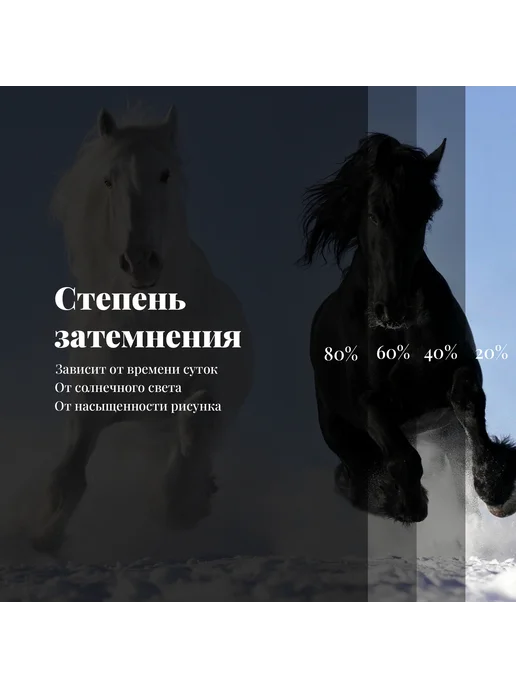 МарТекс Шторы в гостиную в спальню Стремление лошади 300*260 +- 3%, 300x260, фото 5