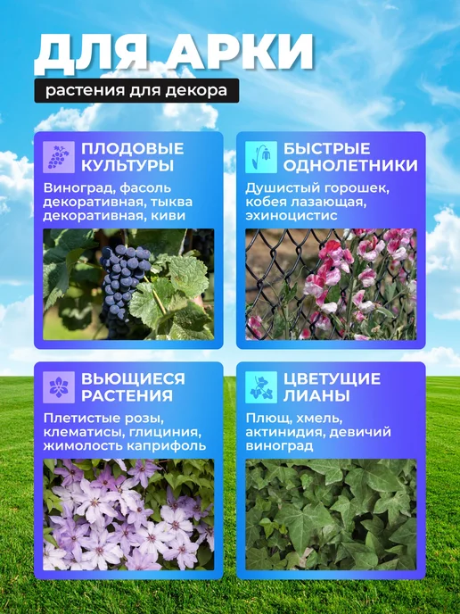 Урожайный уголок Арка садовая металлическая "Сетка 35", зеленый, фото 4