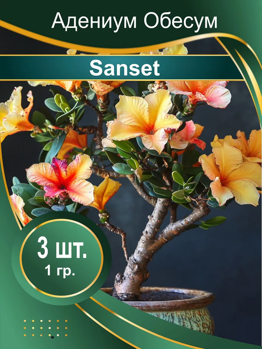 Семена Адениум обесум Sanset