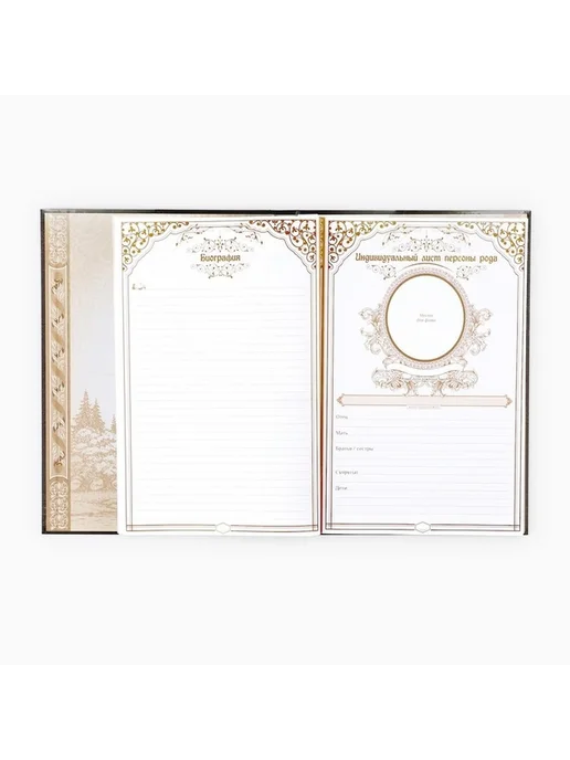 Элегантная семейная родословная книга, вариант, фото 4