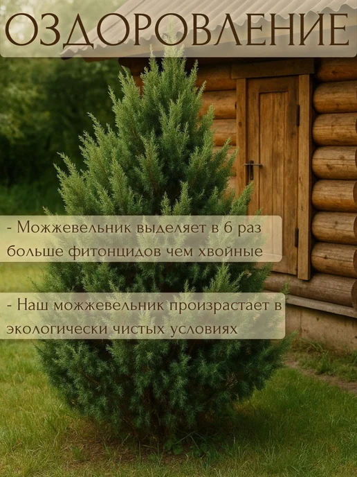 Russian Wood Полка для масел в баню из можжевельника 30х20см, бежевый, фото 4