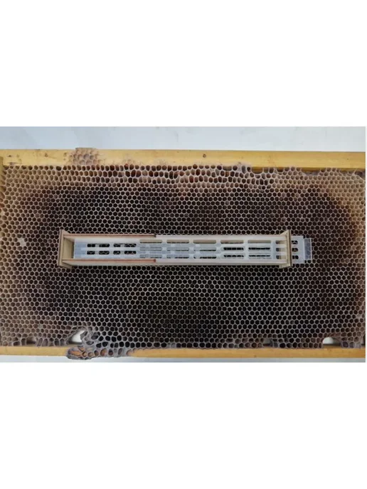 Bee-box Клеточка Миленина (аналог) - 2 шт, 2 шт, фото 3