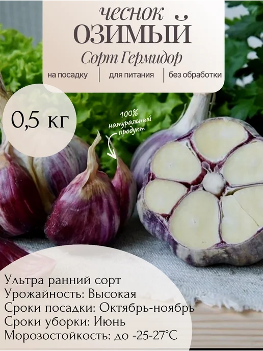 Сердце сада Чеснок озимый на посадку 0,5 кг, 500 г
