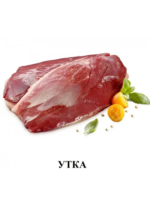 Сухой корм Alleva Holistic Макси для собак, взрослые, курица, утка, 2 кг, фото 6