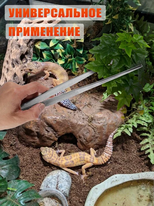 Mobicent Пинцеты для террариума, для рептилий и термометр гигрометр, черный, фото 7