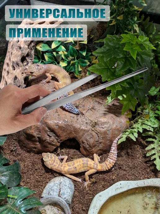 Пинцеты для аквариума для рептилий и термометр гигрометр, черный, фото 7