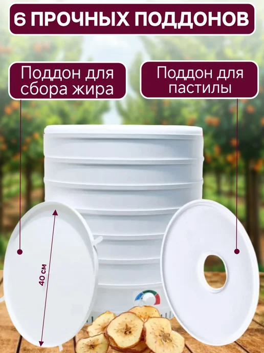 спектр-прибор Сушилка для овощей и фруктов электрическая, белый, фото 2