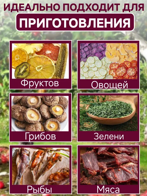 спектр-прибор Сушилка для овощей и фруктов электрическая, белый, фото 7