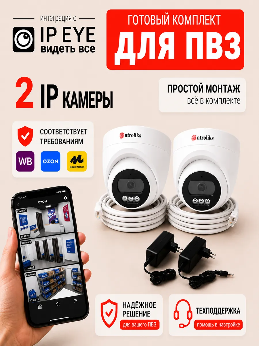 Камеры для ПВЗ 2 IP c сервисом IPEYE Готовый комплект