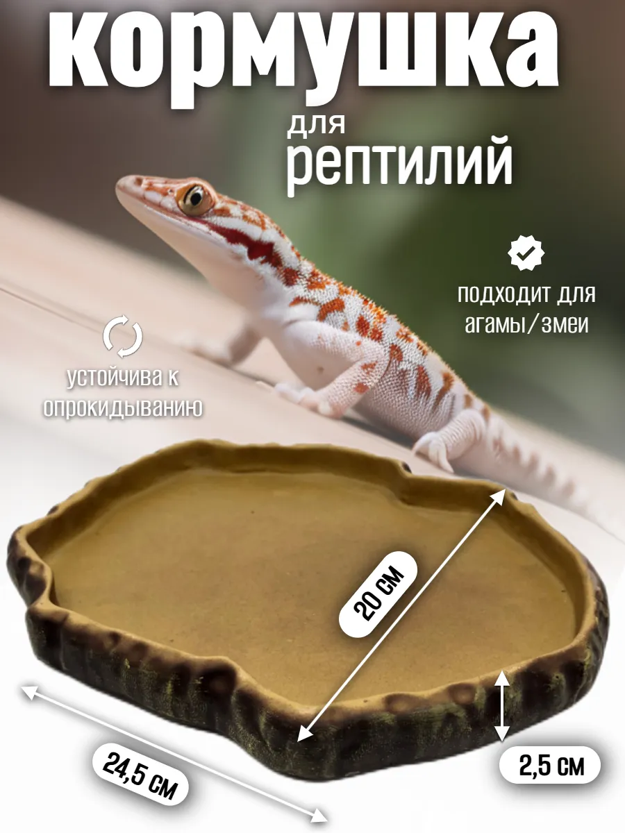 Кормушка поилка для рептилий