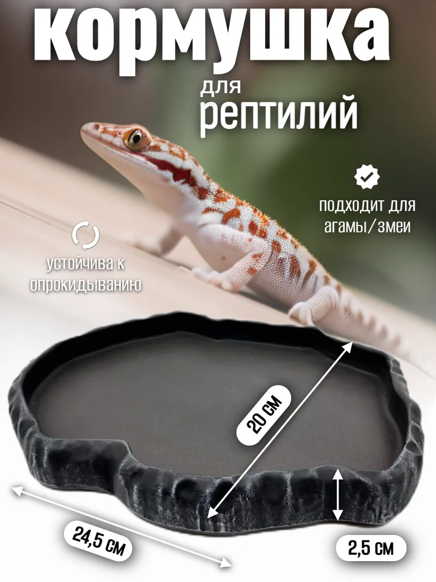 Кормушка поилка для рептилий