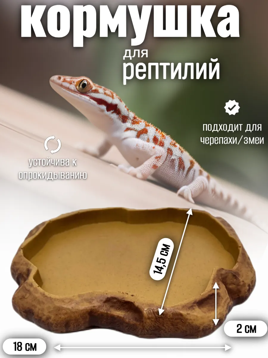 Кормушка поилка для рептилий