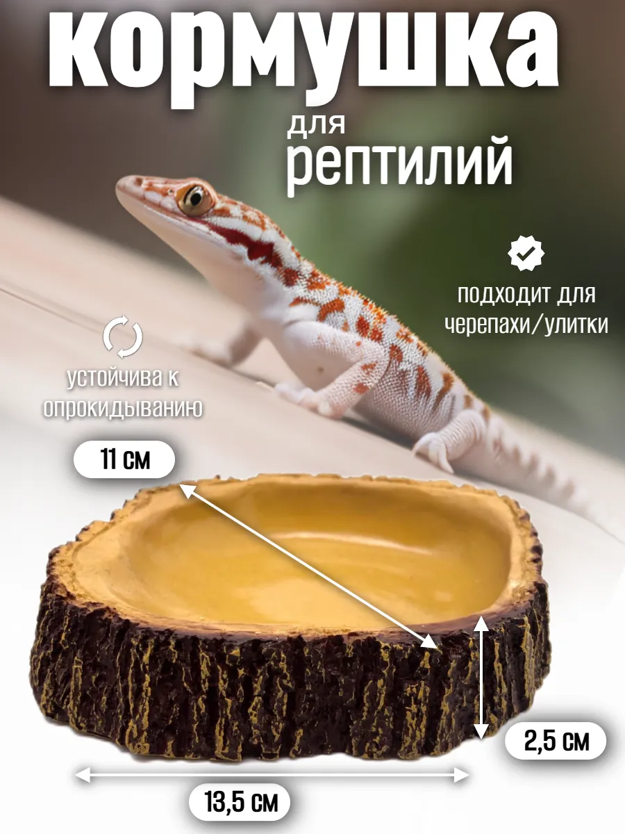 Кормушка поилка для рептилий