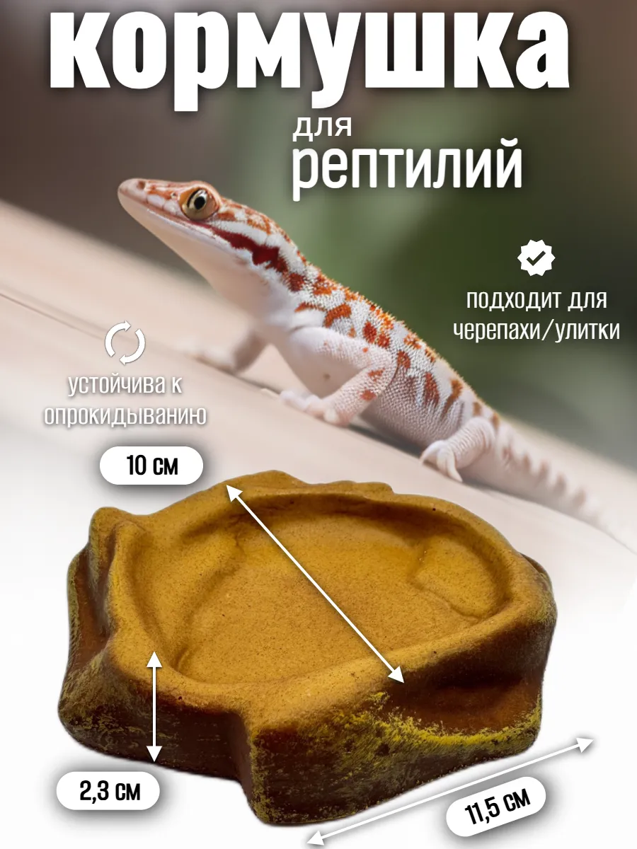 Кормушка поилка для рептилий