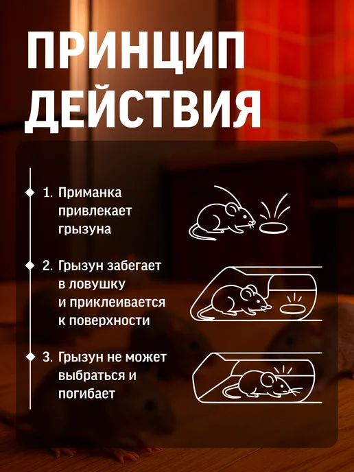 Эксперт Мышеловка для грызунов липкая пластина, вариант, фото 2
