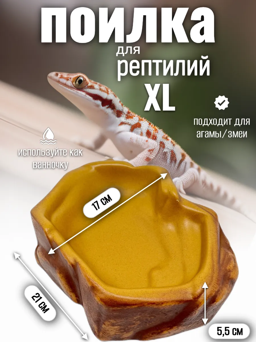 Кормушка поилка для рептилий большая
