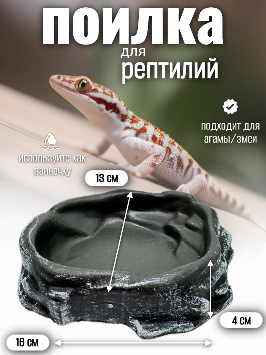 Кормушка поилка для рептилий