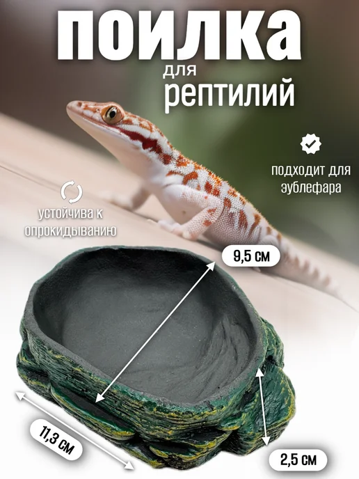 Кормушка поилка для рептилий, зеленый
