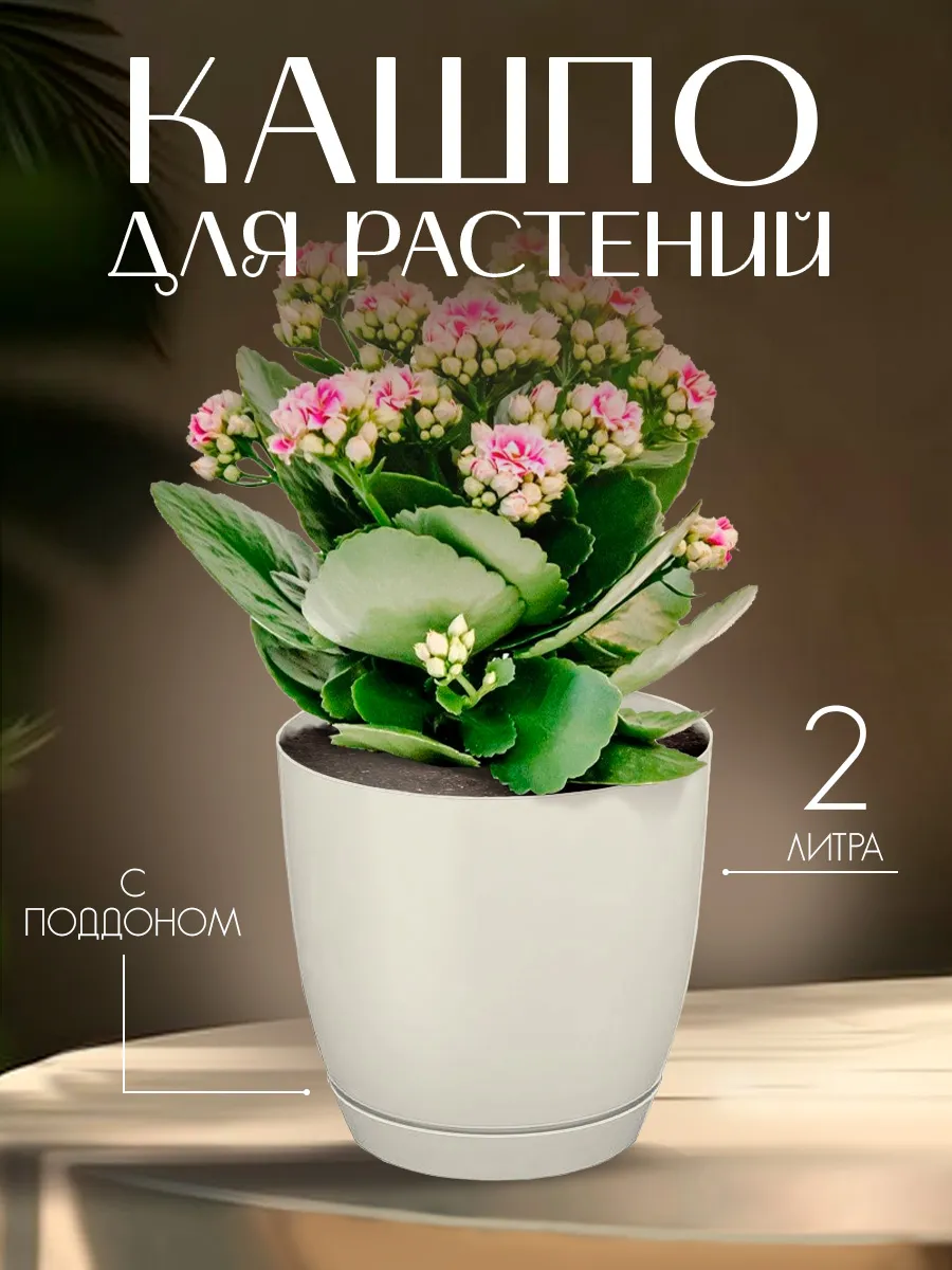 Горшок для цветов пластиковый на 2 л