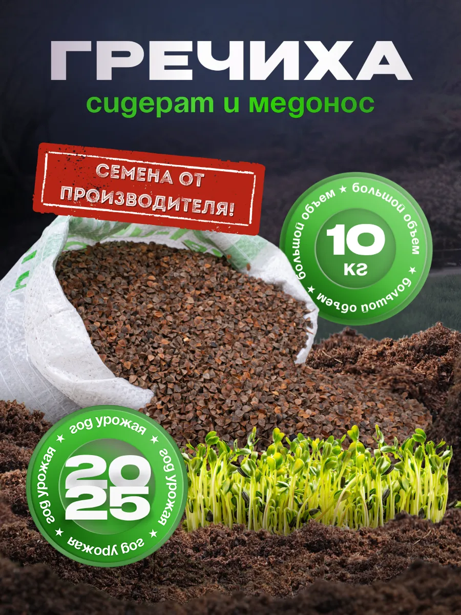 Семена Гречиха 10 кг сидерат и медонос