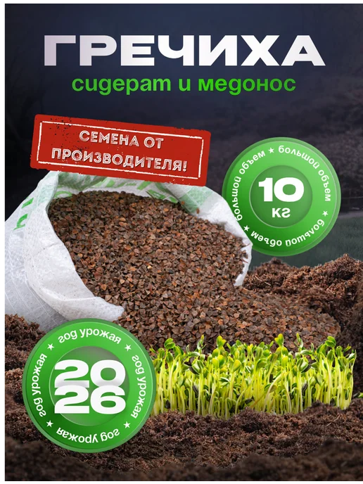 ЗЕЛЕНЫЙ УГОЛОК Семена Гречиха 10 кг сидерат и медонос, 10 кг