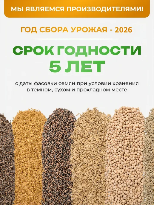 ЗЕЛЕНЫЙ УГОЛОК Семена Гречиха 10 кг сидерат и медонос, 10 кг, фото 5