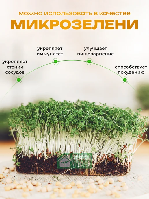 ЗЕЛЕНЫЙ УГОЛОК Семена Гречиха 10 кг сидерат и медонос, 10 кг, фото 6