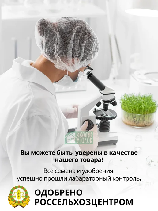 ЗЕЛЕНЫЙ УГОЛОК Семена Гречиха 10 кг сидерат и медонос, 10 кг, фото 7