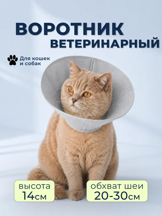 Кошковед Воротник защитный со шнурком для кошек и собак, серый