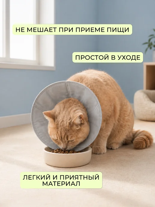Кошковед Воротник защитный со шнурком для кошек и собак, серый, фото 3